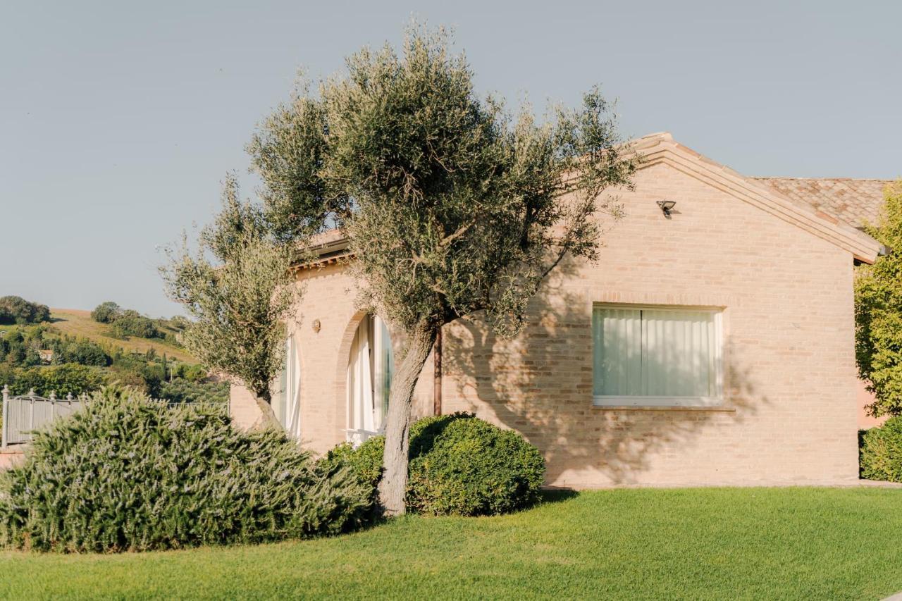 Nontiscordardimé Civitanova Marche Exterior foto